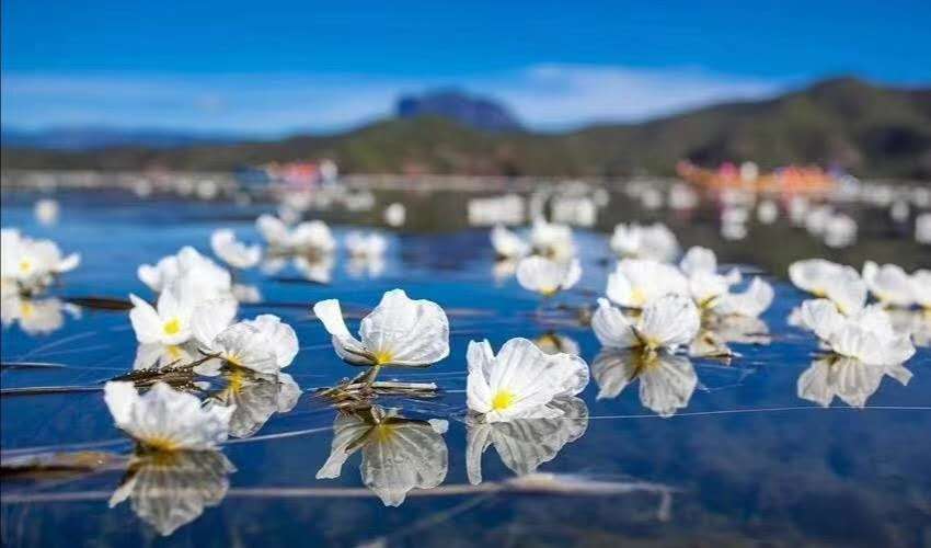 麗江研學，我們所要了解的研學知識