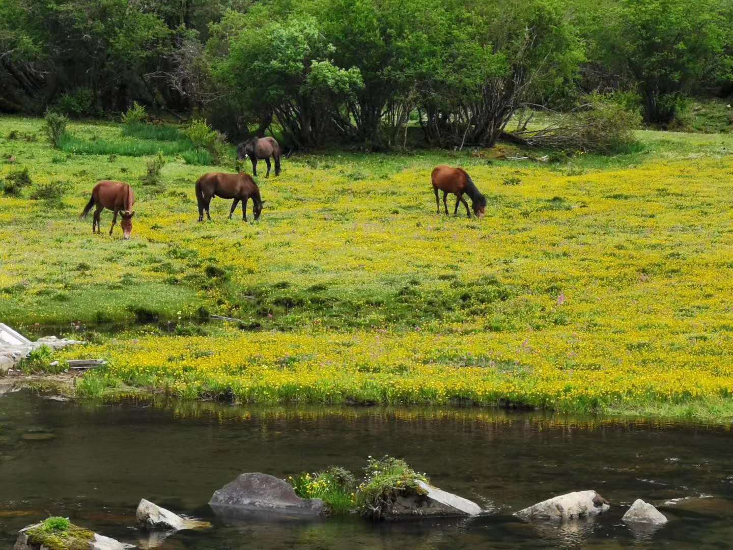研學的重要意義，對研學的各項探索都怎么進行的