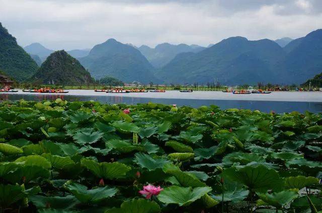 2020年云南康養(yǎng)旅游發(fā)展具備哪些資源優(yōu)勢？現(xiàn)狀如何？