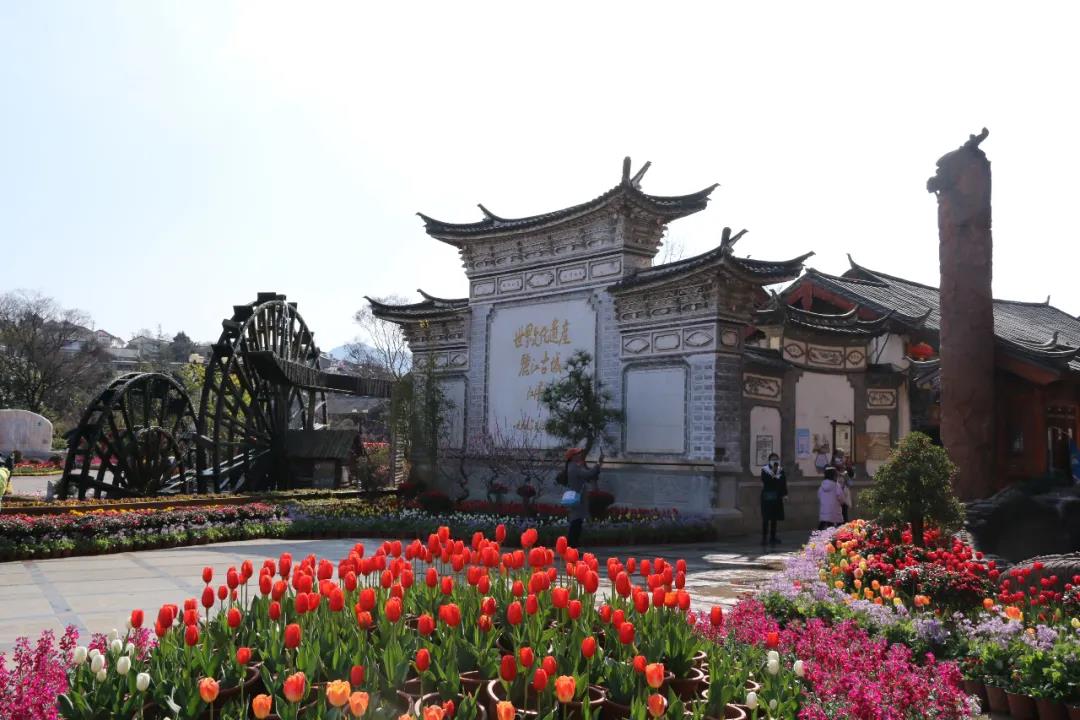 年味足、春意濃! 麗江古城春節(jié)假日旅游回暖