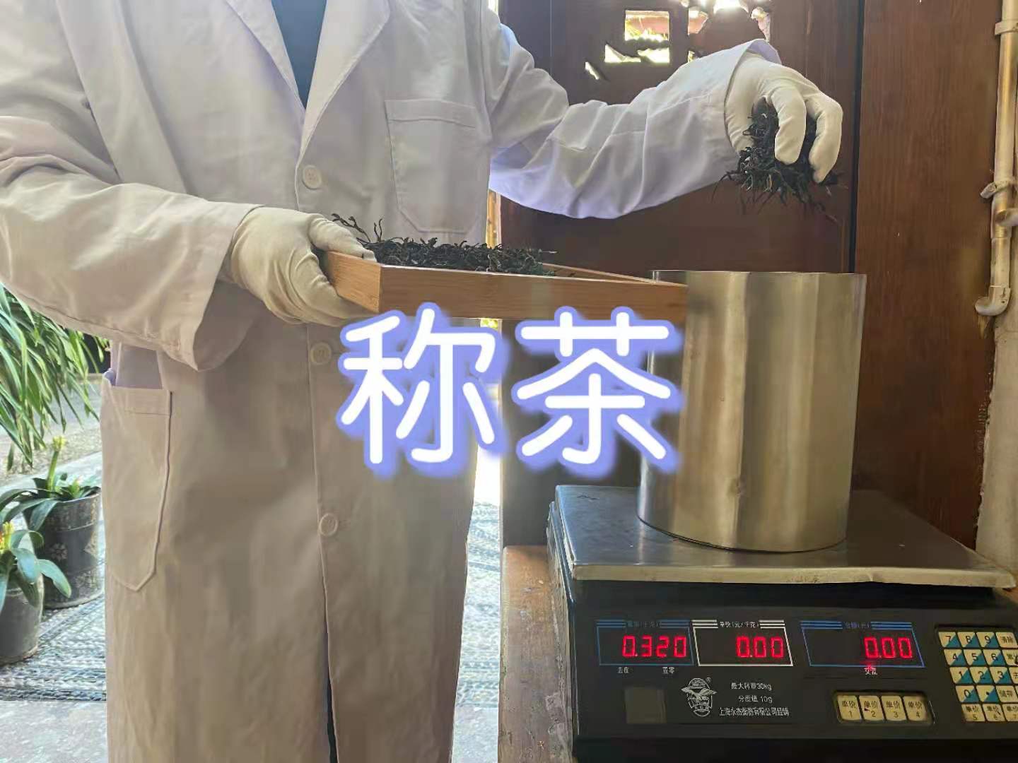 麗江古城尋寶團建制茶體驗任務(wù)