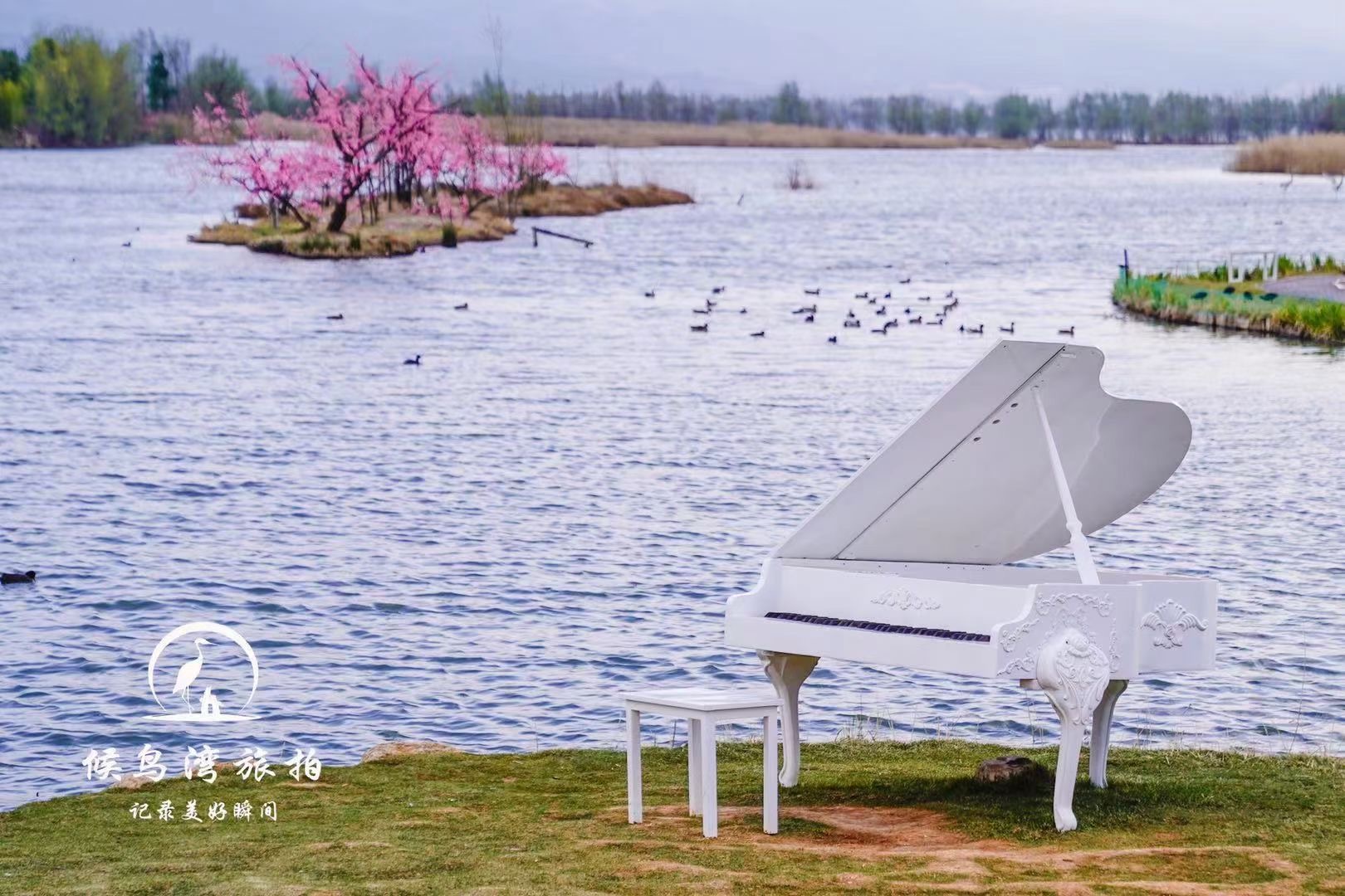 麗江會(huì)議獎(jiǎng)勵(lì)會(huì)展汽車發(fā)布會(huì)戶外拓展訓(xùn)練研學(xué)旅拍基地：麗江拉市海候鳥(niǎo)灣戶外拓展基地