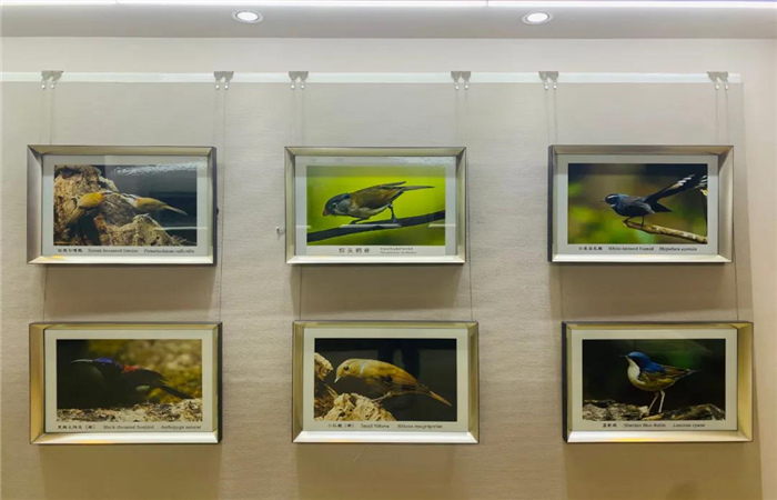 多維度展示滇西北生物多樣性！麗江這個(gè)中心值得一去