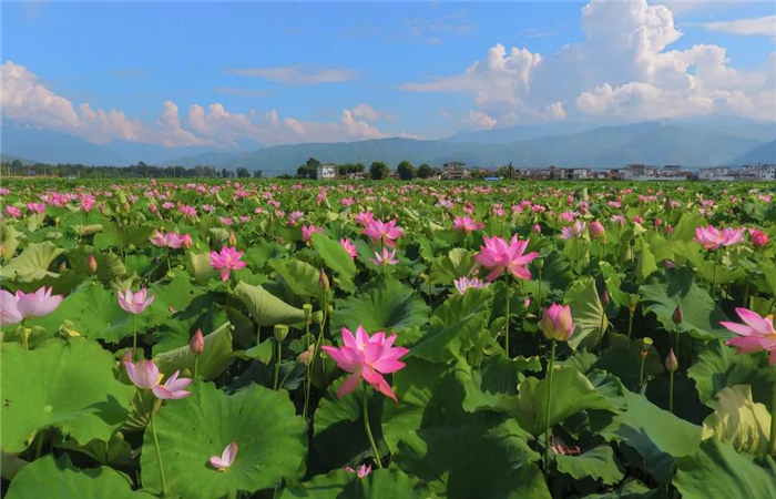 去永勝，開啟一段人文風(fēng)情的絕美之旅！