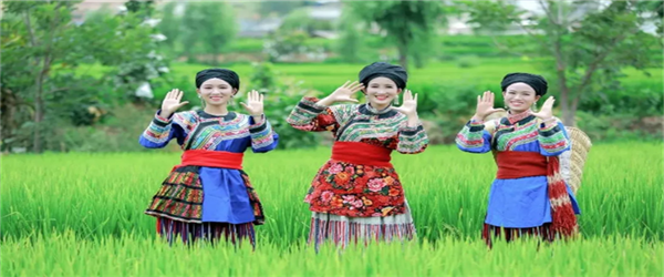 相約水鄉(xiāng)，邂逅激情！華坪縣新莊鄉(xiāng)首屆鄉(xiāng)村旅游節(jié)即將開幕