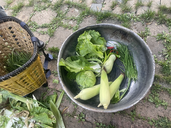 麗江納西生活體驗團建