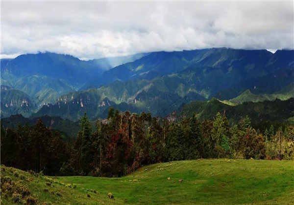 不用去呼倫貝爾大草原，麗江這個(gè)“天上草原”美哭你！