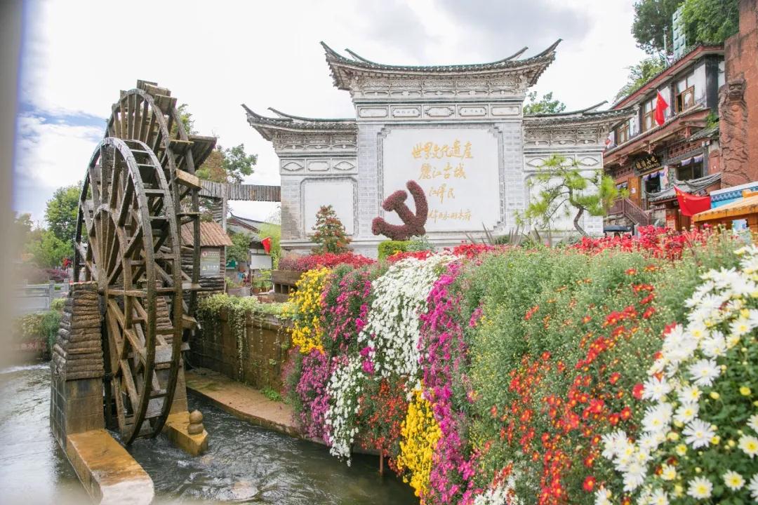 麗江傳媒，萬朵菊花簇?fù)睇惤懦?！中秋時(shí)節(jié)快來賞菊！