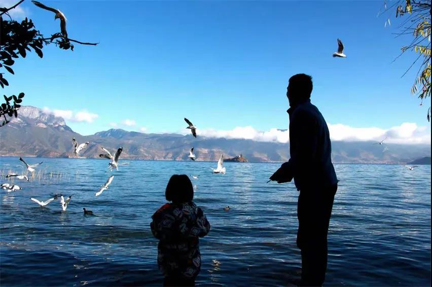 麗江傳媒公司：夢境何處尋？——麗江打卡景點之瀘沽湖旅游攻略