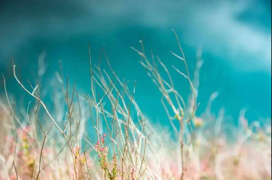 瀘沽湖，為什么讓你一去再去?   麗江傳媒公司