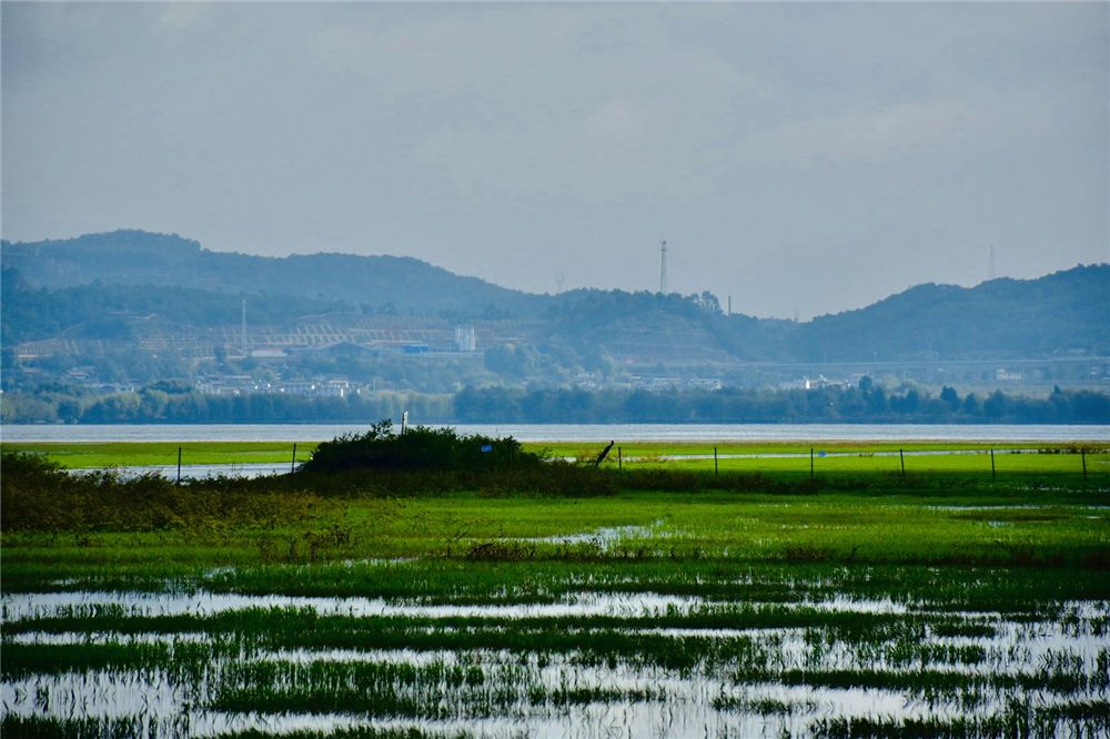 你能想到的所有詩情畫意，都藏在麗江深秋的拉市海里......也是麗江宴會策劃的首選之地
