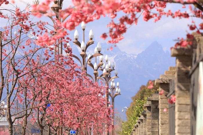 麗江旅游攻略：麗江到底是什么星座的？