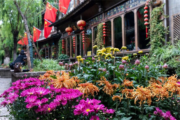 麗江團(tuán)建地方推薦：拉市海候鳥灣濕地，體驗(yàn)特色團(tuán)建的好去處