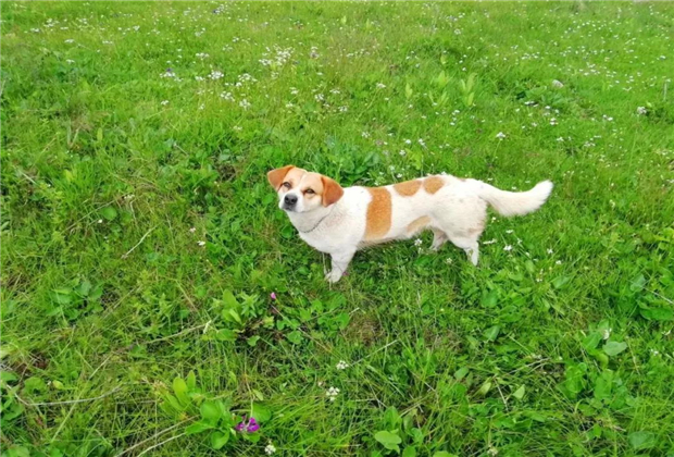 麗江沒(méi)有農(nóng)村，只有世外桃源……