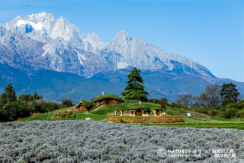 麗江聽(tīng)花谷景區(qū)