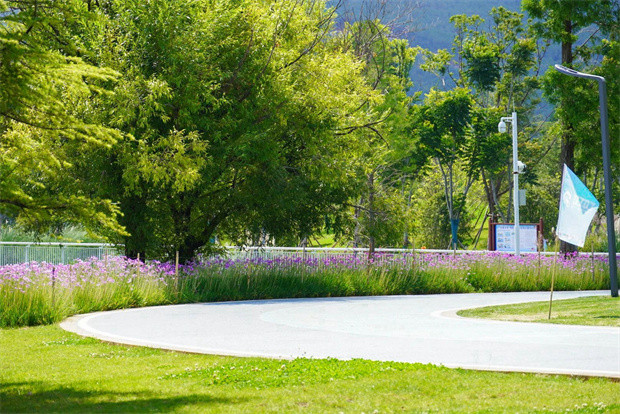 云南旅游,云南旅行社,云南團建公司,云南策劃公司,云南會議會展公司,云南活動執(zhí)行公司,麗江旅游 ,麗江旅行社,麗江團建公司,麗江策劃公司,麗江會議執(zhí)行公司：20度的麗江，藏著夏日的清涼密碼